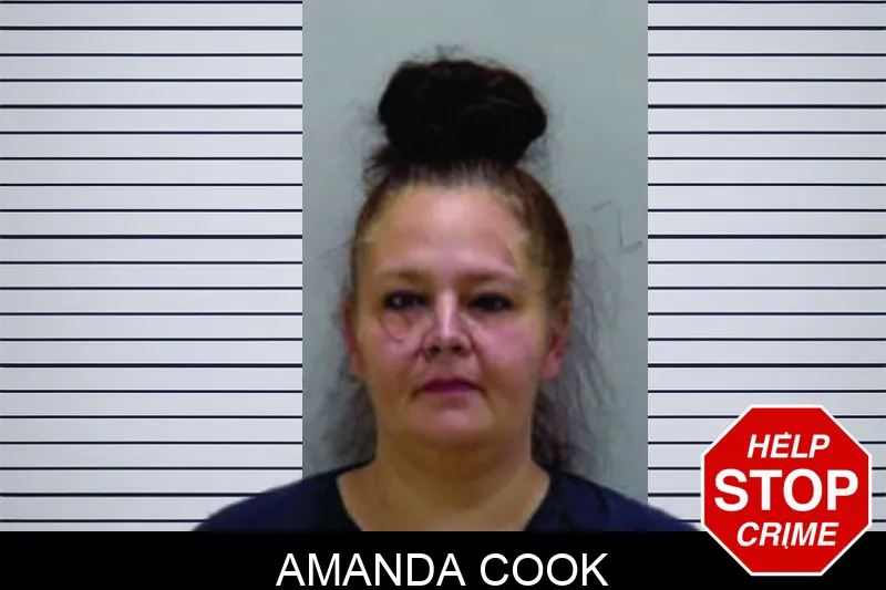 Amanda Cook mugshot