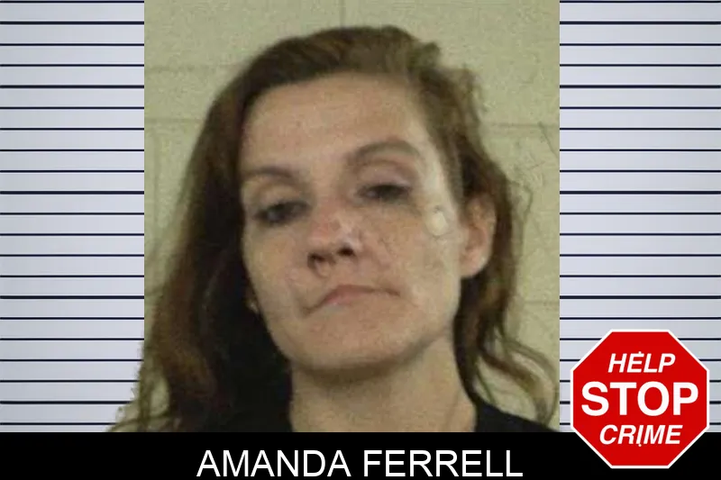 Amanda Ferrell mugshot