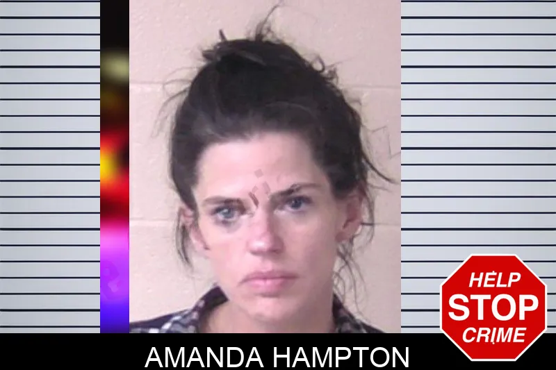 Amanda Hampton Mugshots