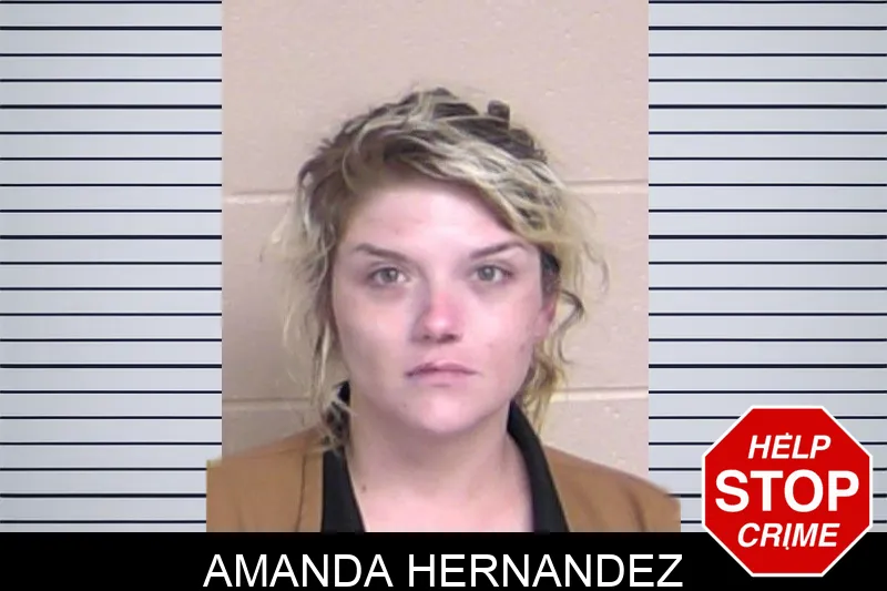 Amanda Hernandez mugshot