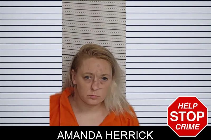 Amanda Herrick Mugshots