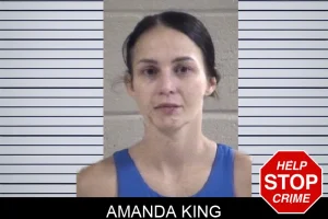Amanda King mugshot
