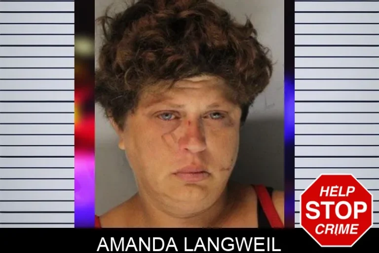 Amanda Langweil mugshot – Hall County , Georgia Amanda Langweil