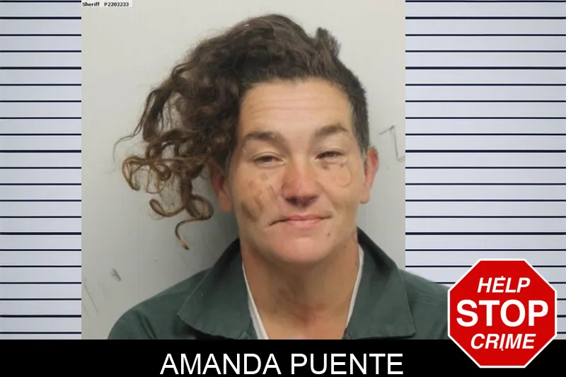 Amanda Puente mugshot – Chatham County , Georgia Amanda Puente mugshot