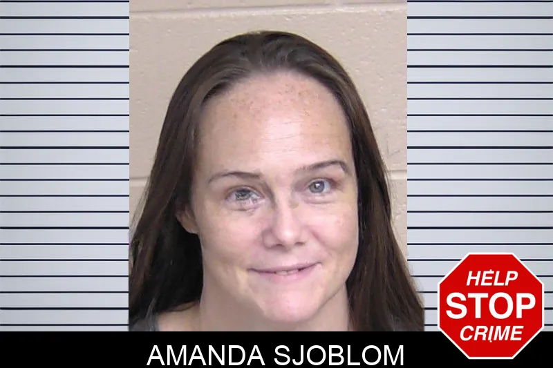 Amanda Sjoblom Mugshots