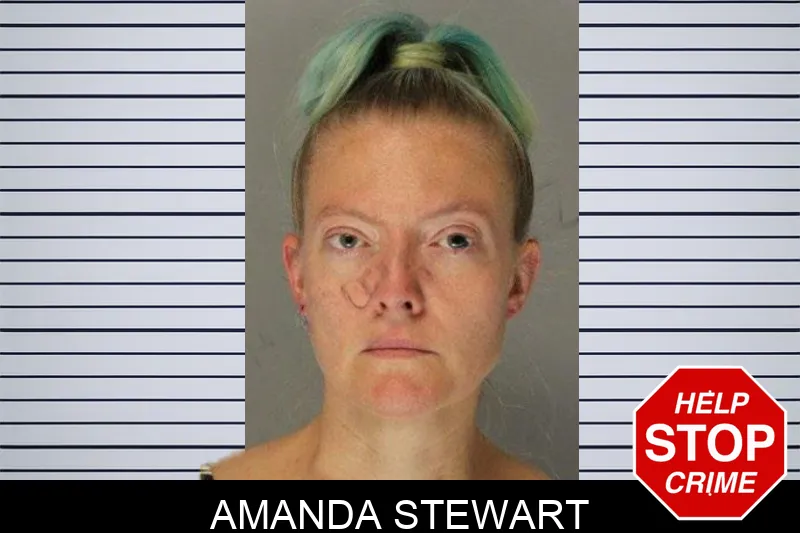 Amanda Stewart mugshot