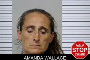 Amanda Wallace mugshot