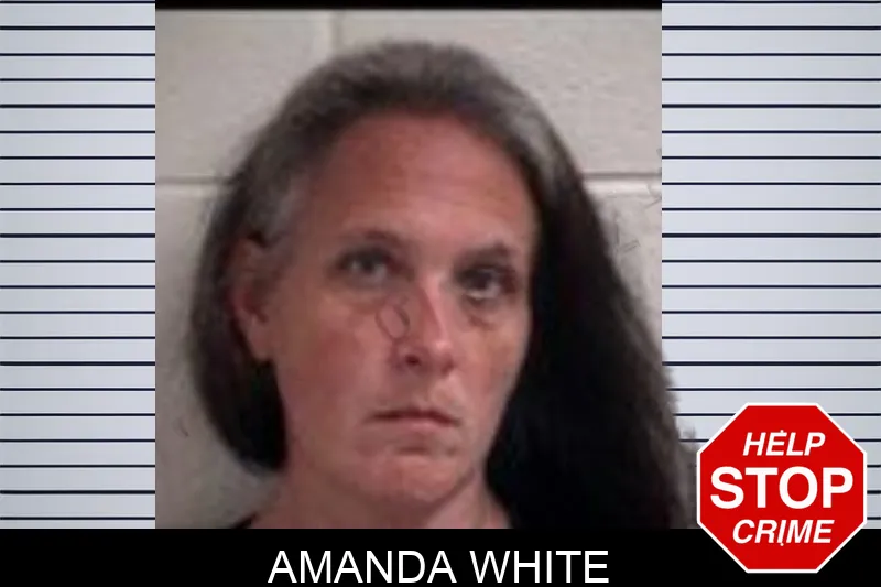 Amanda White Mugshots
