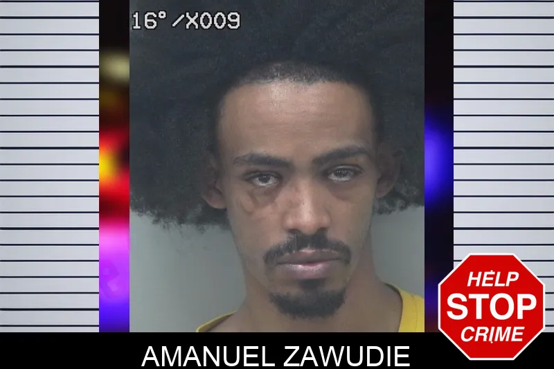 Amanuel Zawudie Mugshots