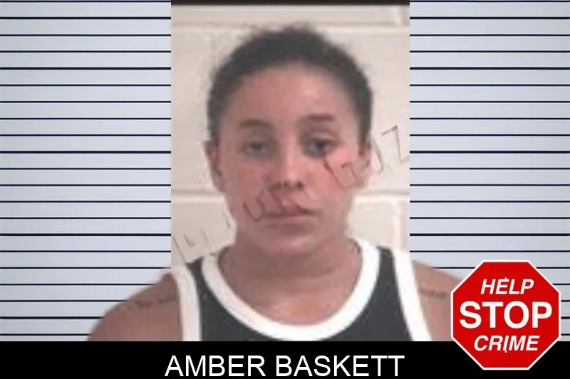 Amber Baskett mugshot – Henry County , Georgia Amber Baskett mugshot