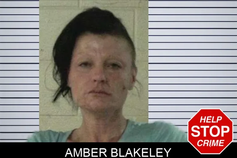 Amber Blakeley mugshot – Liberty County , Georgia Amber Blakeley