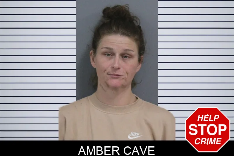 Amber Cave Mugshots