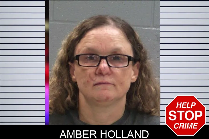 Amber Holland mugshot – Baldwin County , Georgia Amber Holland mugshot