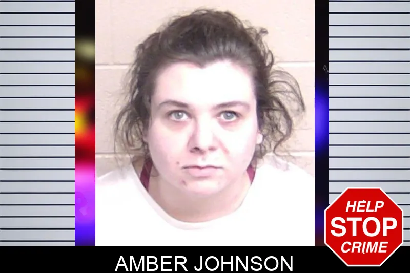 Amber Johnson Mugshots