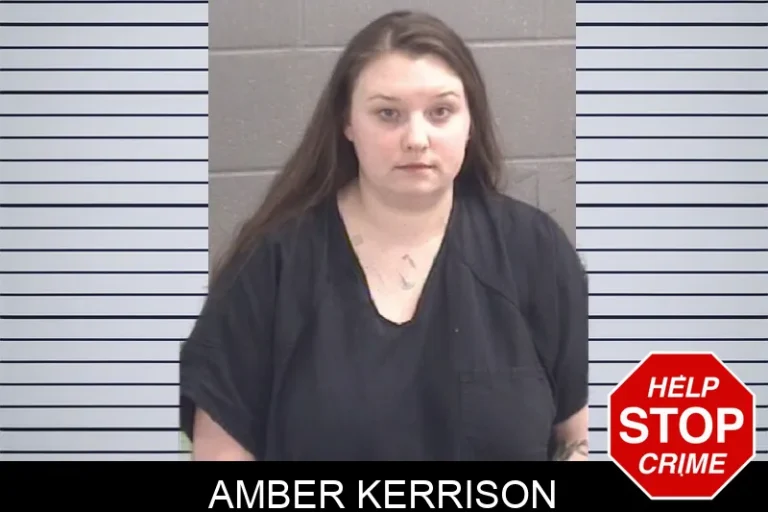Amber Kerrison mugshot β Spalding County , Georgia Amber Kerrison