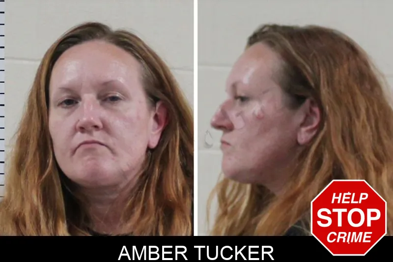 Amber Tucker mugshot – Houston County , Georgia Amber Tucker mugshot