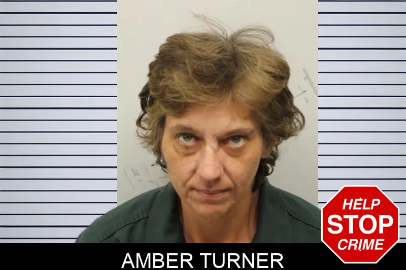 Amber Turner mugshot – Chatham County , Georgia Amber Turner mugshot