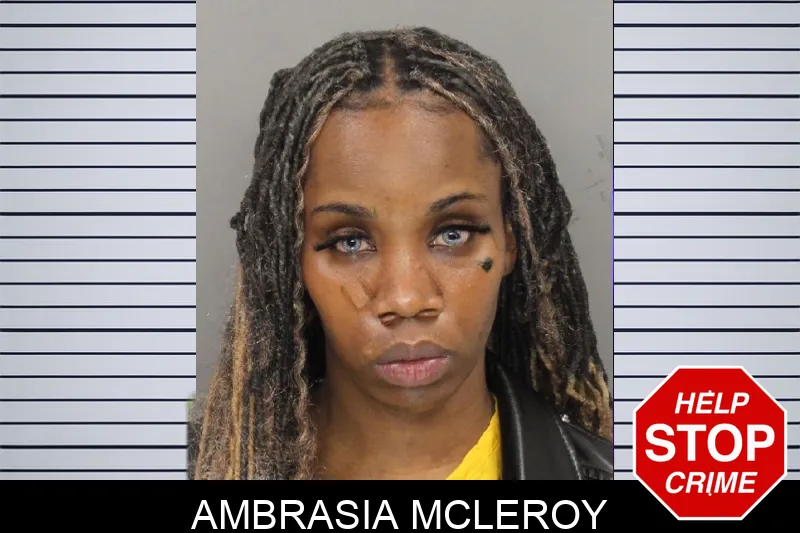 Ambrasia McLeroy mugshot