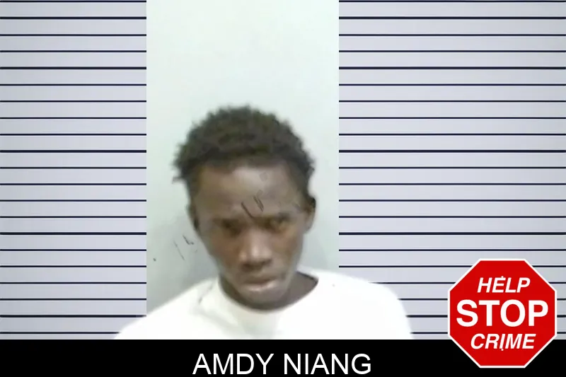 Amdy Niang Mugshots