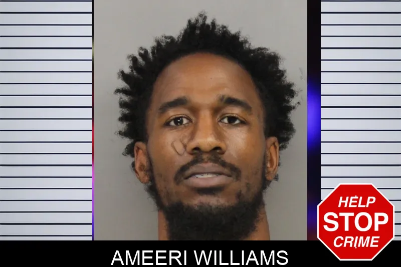 Ameeri Williams mugshot – Cobb County , Georgia Ameeri Williams mugshot