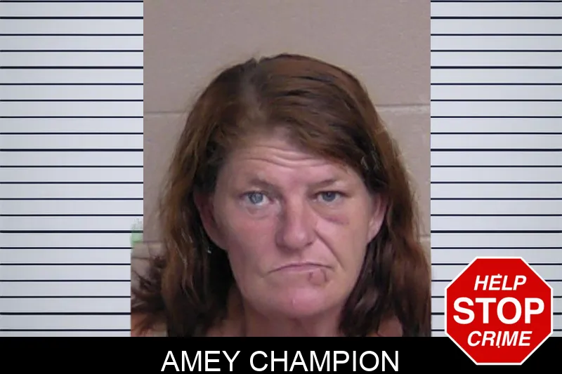 Amey Champion mugshot
