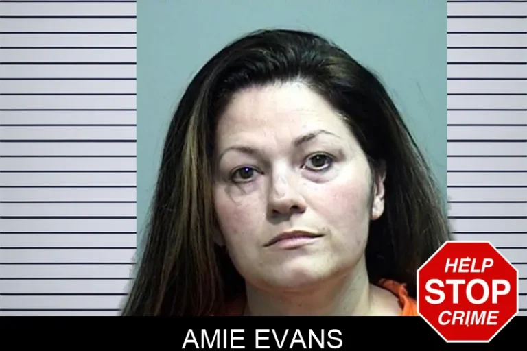 Amie Evans mugshot – Effingham County , Georgia Amie Evans