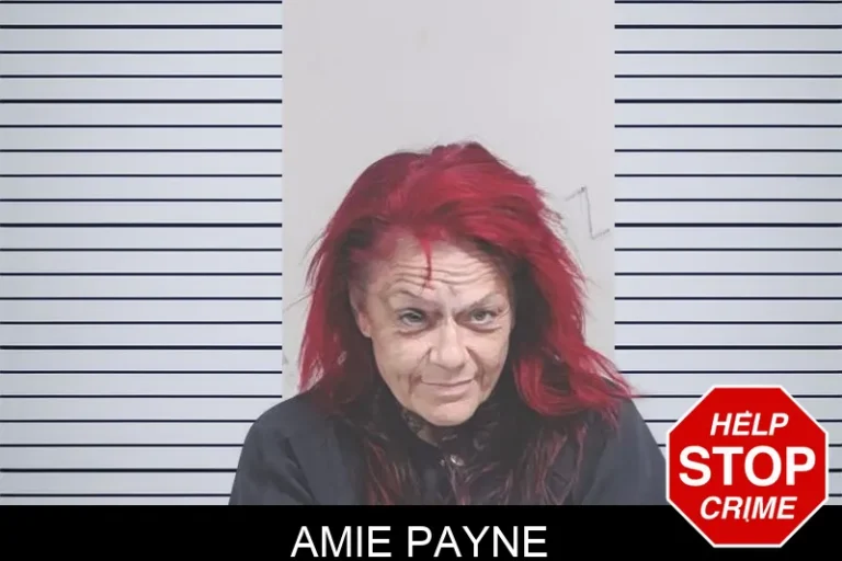 Amie Payne mugshot – Lowndes County , Georgia Amie Payne