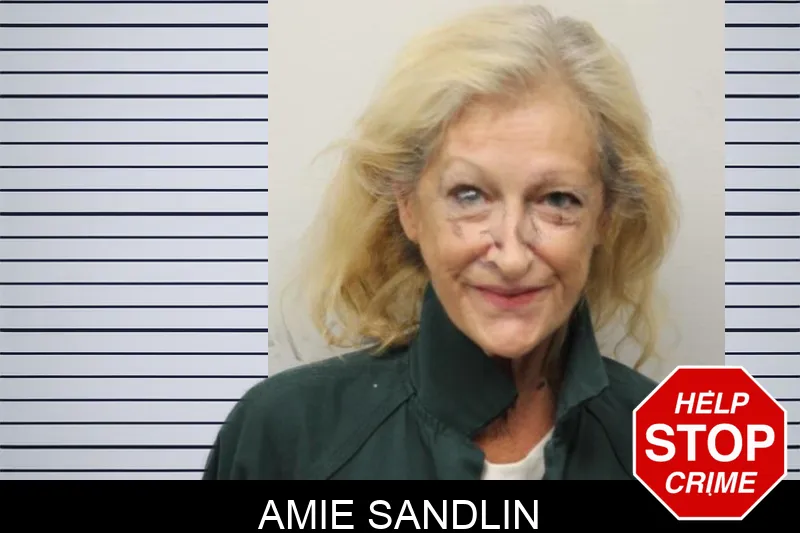 Amie Sandlin mugshot