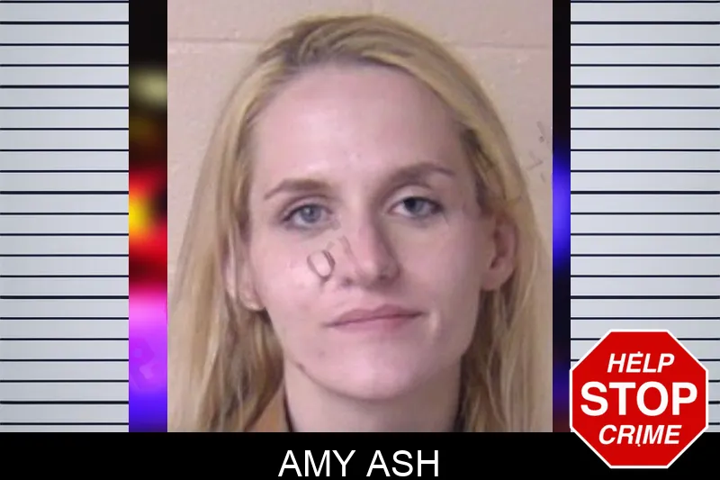 Amy Ash Mugshots