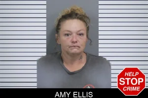 Amy Ellis mugshot