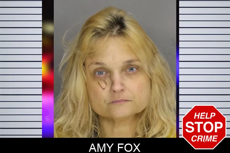 Amy Fox mugshot – Cobb County , Georgia Amy Fox mugshot