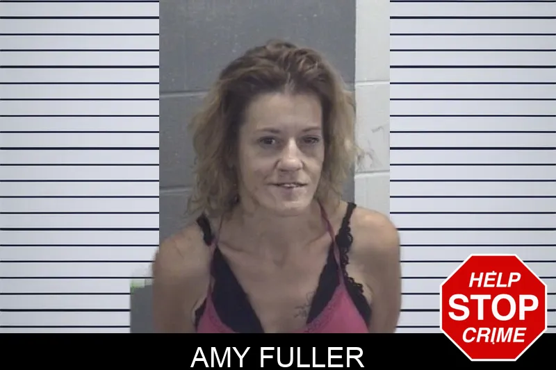 Amy Fuller Mugshots