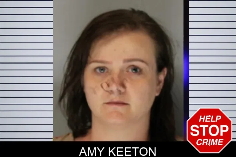 Amy Keeton mugshot – Hall County , Georgia Amy Keeton