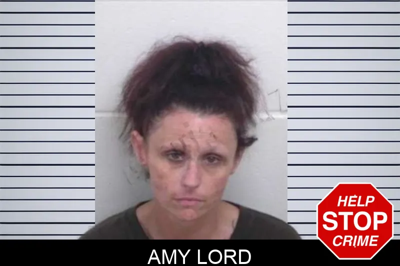 Amy Lord