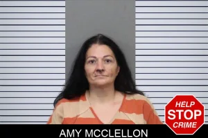 Amy McClellon mugshot