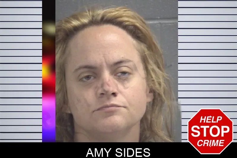 Amy Sides Mugshots