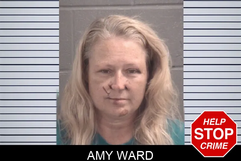 Amy Ward mugshot – Spalding County , Georgia Amy Ward mugshot