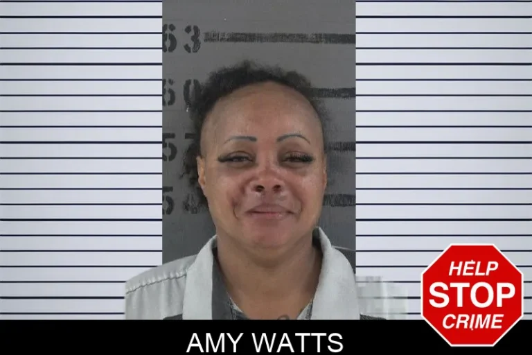 Amy Watts