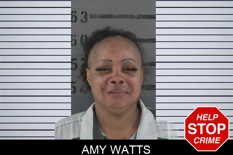 Amy Watts Mugshots