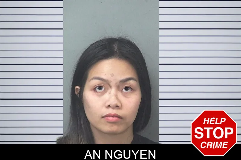 An Nguyen Mugshots