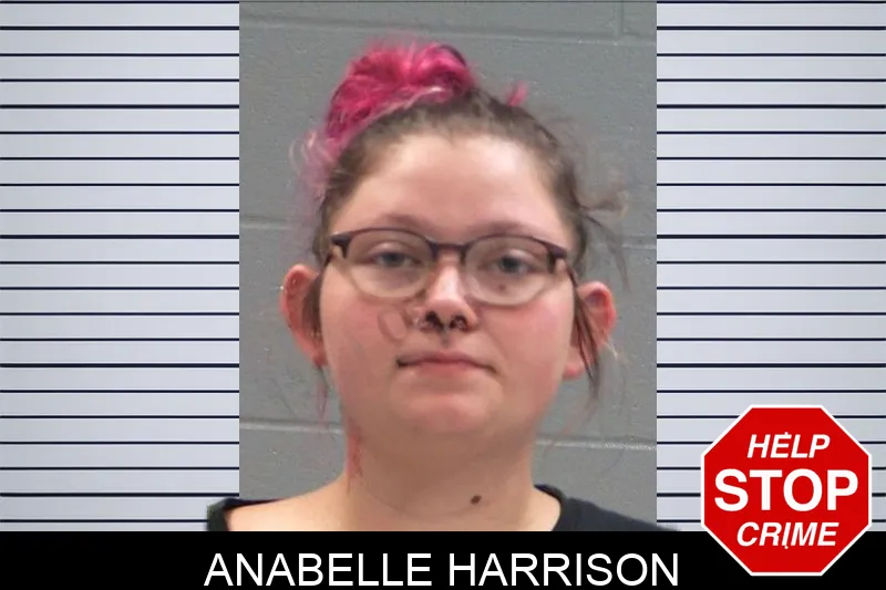 Anabelle Harrison Mugshots