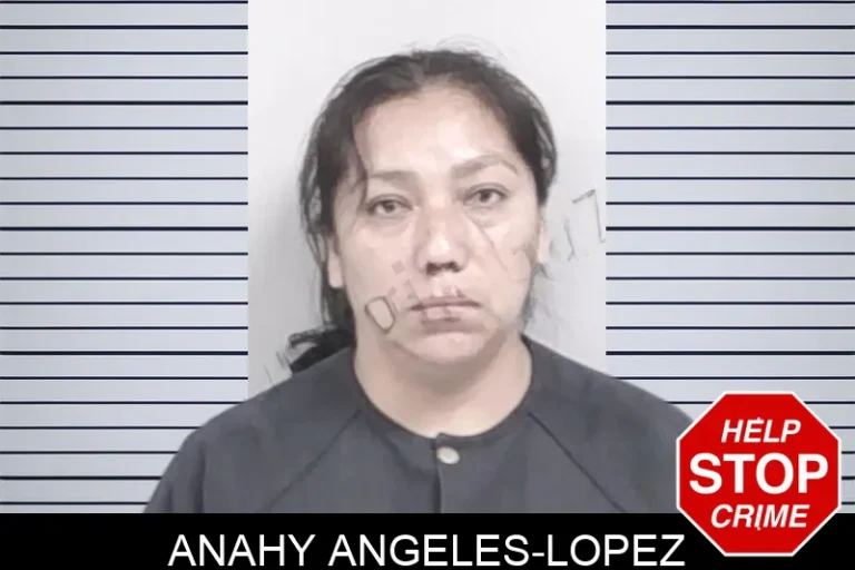 Anahy Angeles-Lopez mugshot – Lowndes County , Georgia Anahy Angeles-Lopez