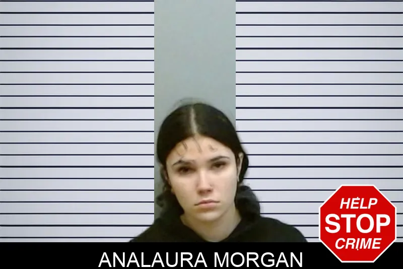 Analaura Morgan Mugshots