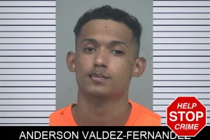 Anderson Valdez-Fernandez mugshot