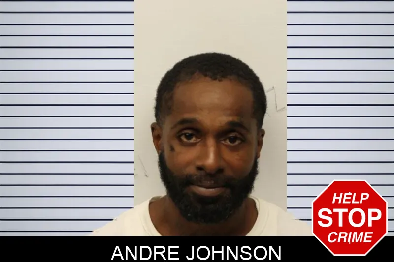 Andre Johnson mugshot