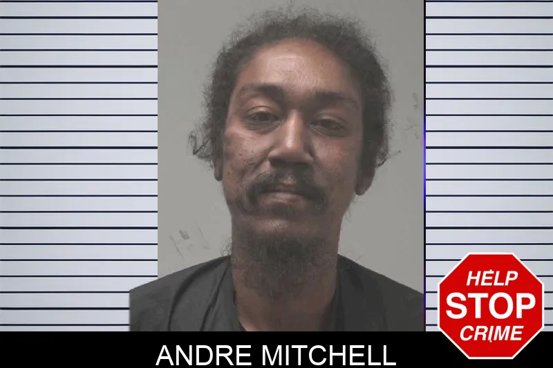 Andre Mitchell mugshot – Coweta County , Georgia Andre Mitchell mugshot