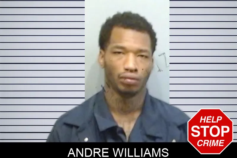 Andre Williams mugshot