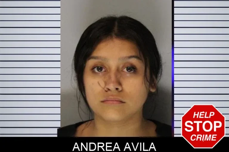 Andrea Avila mugshot – Hall County , Georgia Andrea Avila