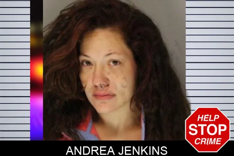 Andrea Jenkins mugshot – Hall County , Georgia Andrea Jenkins