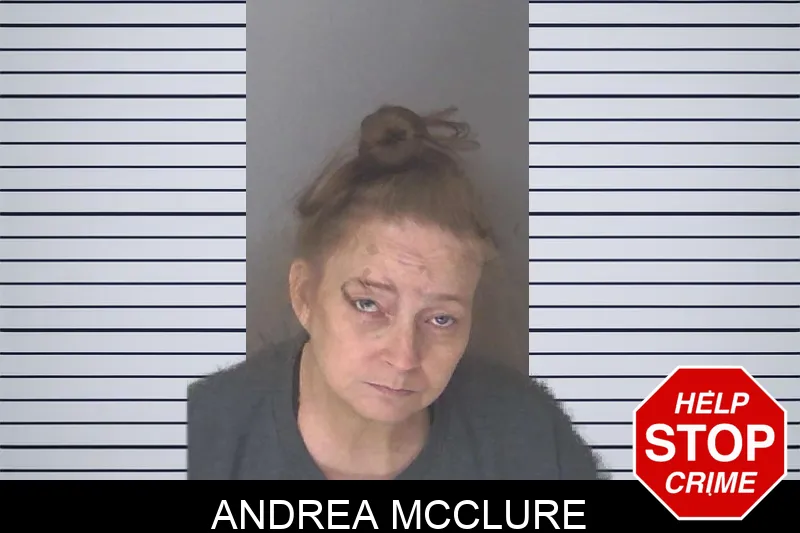 Andrea McClure Mugshots